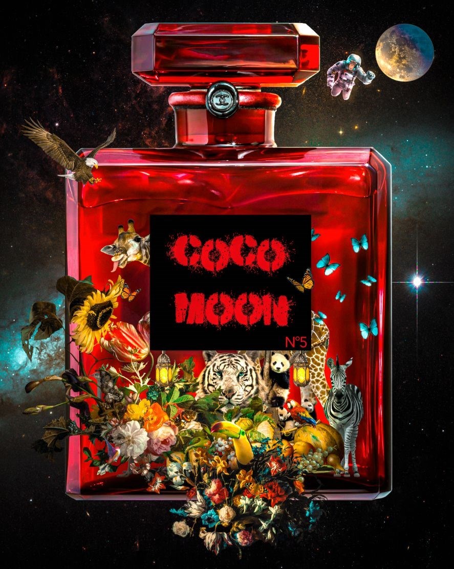 Coco Moon